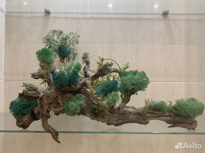 Украшение для дома