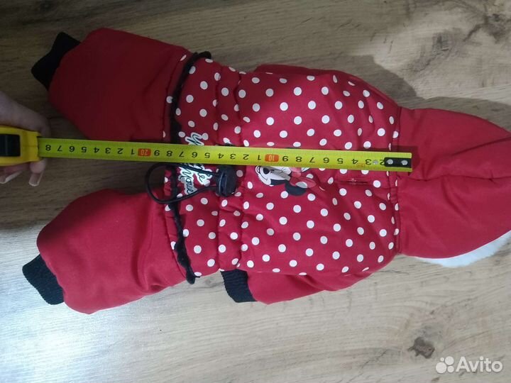 Одежда для собак мелких пород