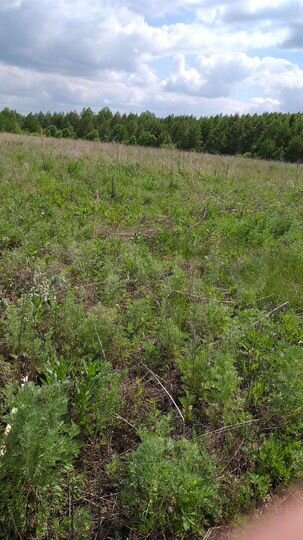 Участок 8,5 сот. (СНТ, ДНП)