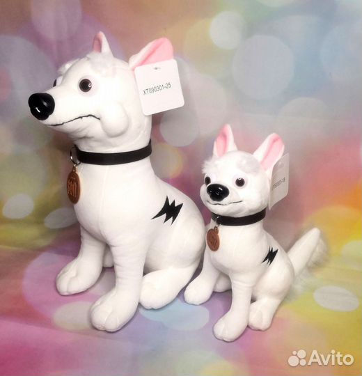 Собака Вольт