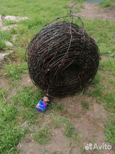 Колючая проволока