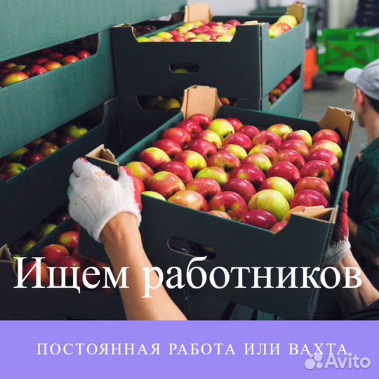 Работник склада