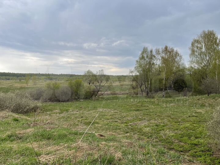 Участок 13,2 сот. (СНТ, ДНП)