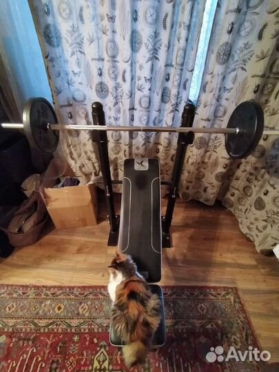 Скамья для жима + штанга