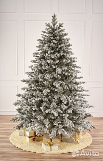 Елка альпийская 220