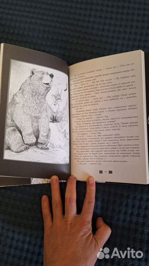 Книга Одд и ледяные великаны