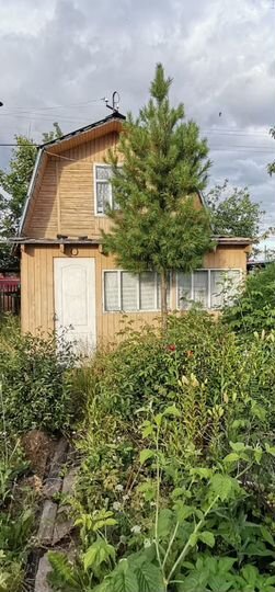 Участок 3,6 сот. (СНТ, ДНП)