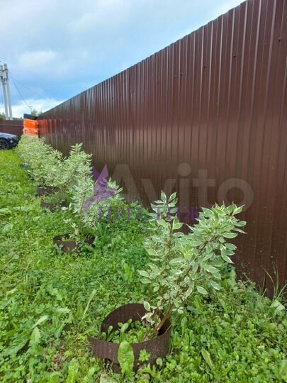 Дом 150 м² на участке 6 сот.