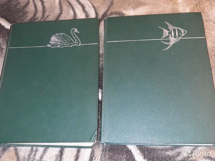 Книги о растениях и животных. Большие