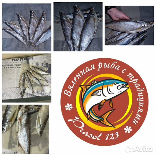 Жирненькая Чехонь отличного качества вяленая оптом