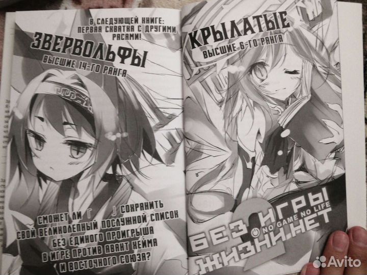 Манга ранобэ без игры нет жизни