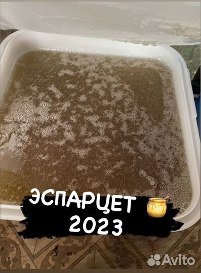 Мед Алтайский 2023