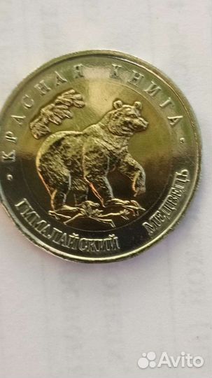 Красная книга. Гималайский медведь