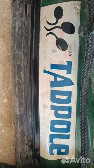 Лодка надувная Tadpole