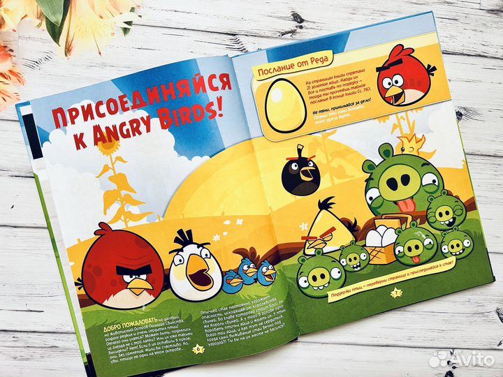Angry Birds книги