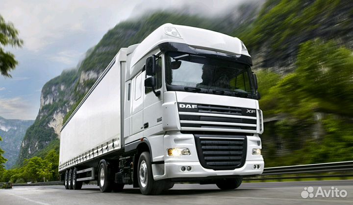 Диагностика Электрика DAF даф