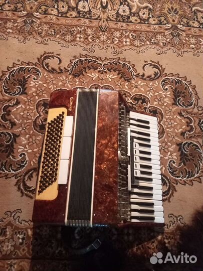 Аккордеон