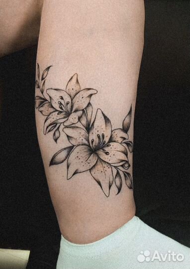 Курс обучения тату с нуля