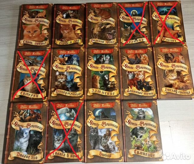 Коты Воители