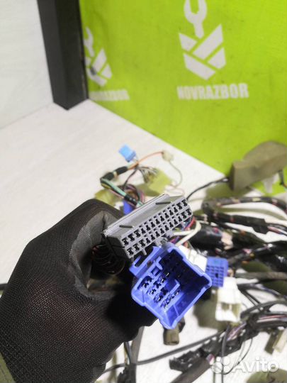 Проводка (коса) Сузуки Балено 98-07