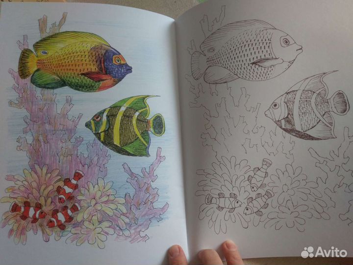 Раскраски новые