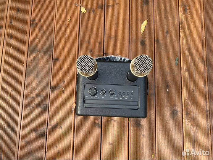 Bluetooth колонка с караоке