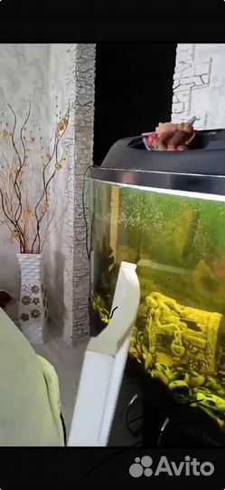 Аквариум с тумбой 120л