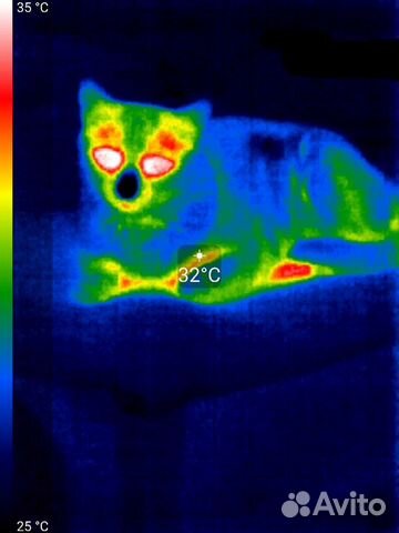 Тепловизор Тепловизионная фото и видео съёмка