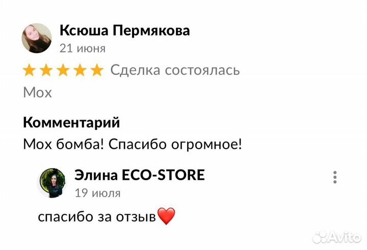 Название компании из мха в офис