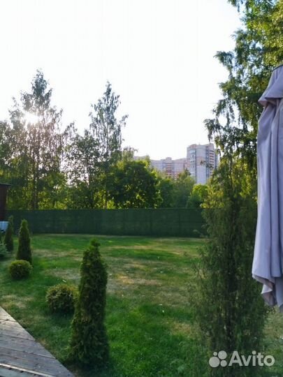 Зеленый забор/изгородь