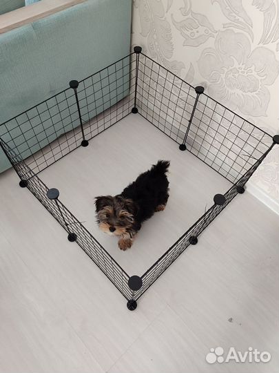 Вольер для щенков