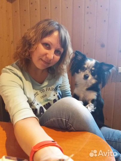 Кастрация кошек и собак, выезд на дом