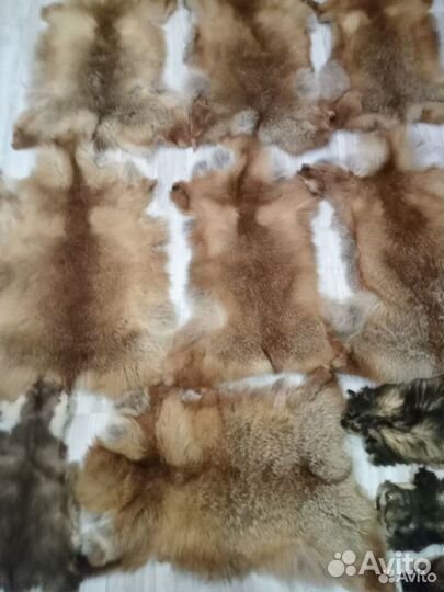 Лисья шкура