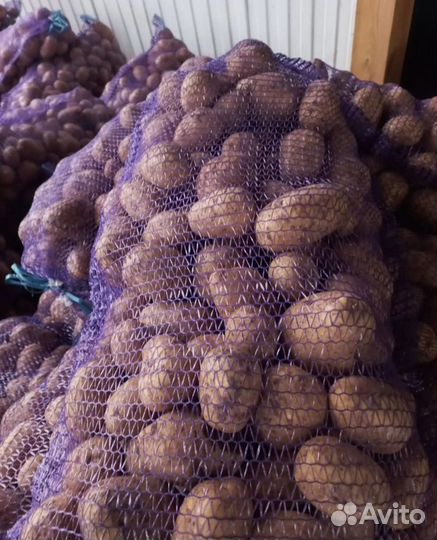 Доставка Картошки