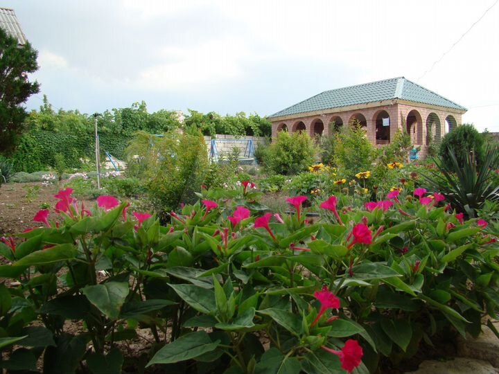 Дом 397,6 м² на участке 6 сот.