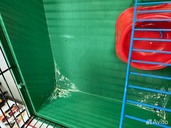 Клетка для грызунов бу