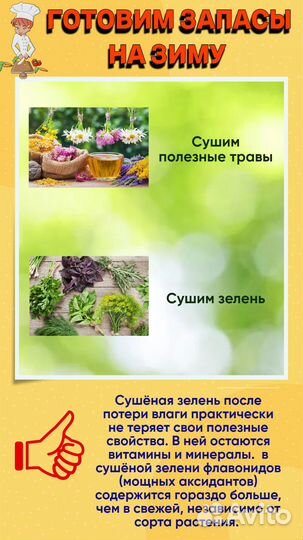 Сушилка для овощей и фруктов