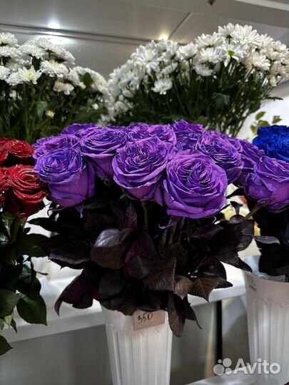 Синяя Роза крашеная Роза