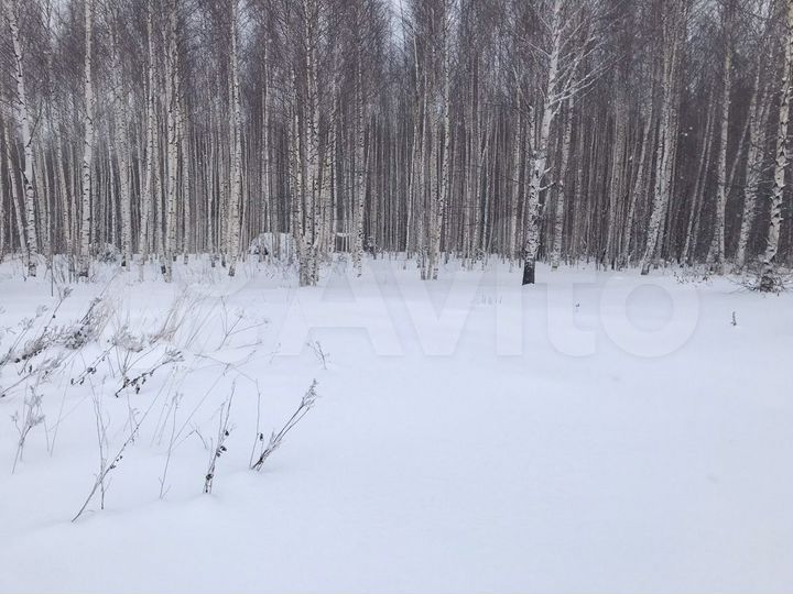 Участок 18,7 сот. (ИЖС)