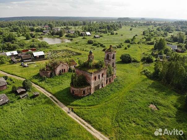 Продам мед оптом