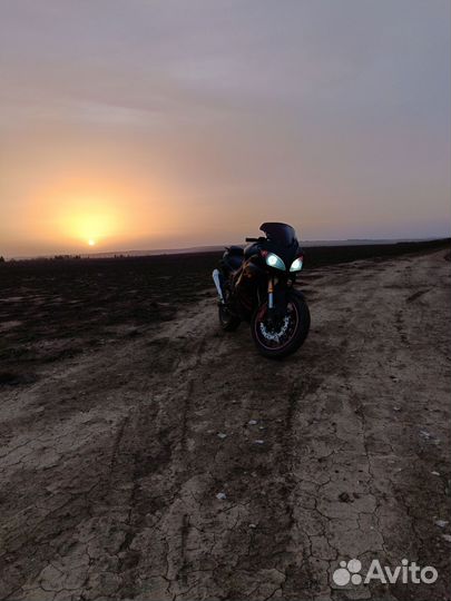 Falcon speedfire 250