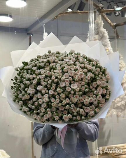 Цветы, букет, розы, кустовые розы, 101