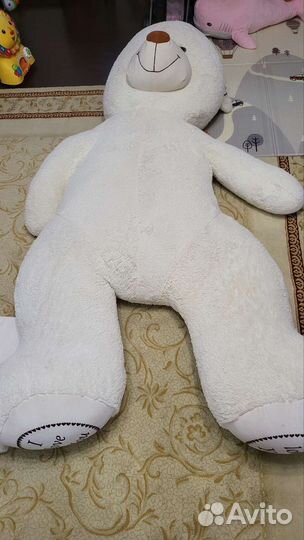 Медведь большой