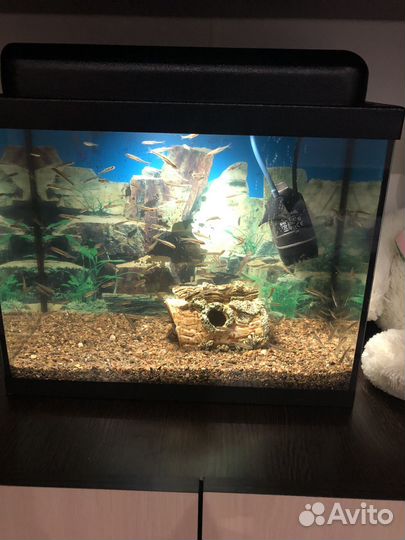 Аквариум