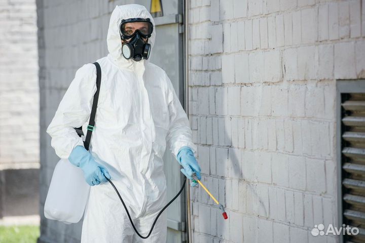 Дезинсекция тараканы