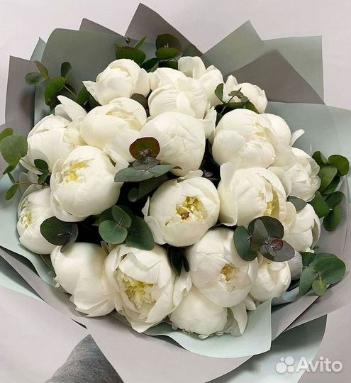 Пионы Букет пионов Доставка цветов