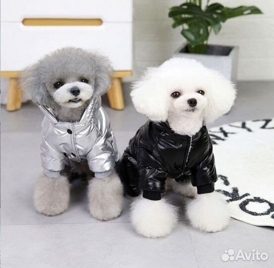 Комбинезон для собак