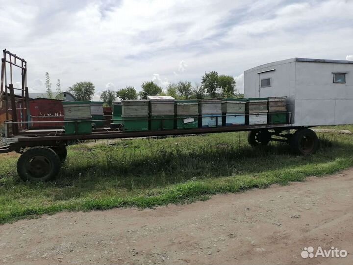 Платформа для пчел