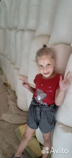 Мука Крымская цельнозерновая свежесмолотая