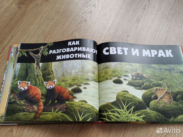 Книга Энциклопедия Животные 3Д